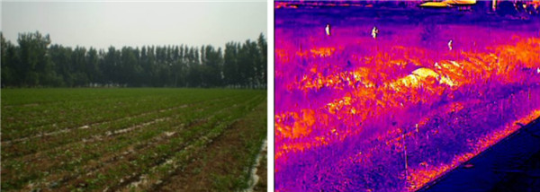 熱成像雙光譜云臺攝像環境保護應用 圖片關鍵詞